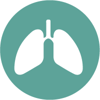 Environmental course icon