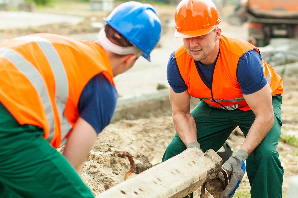 back safety - close up back x-ray