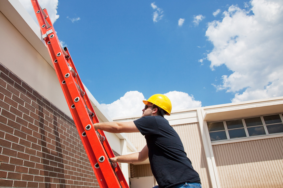 back safety - close up back x-ray